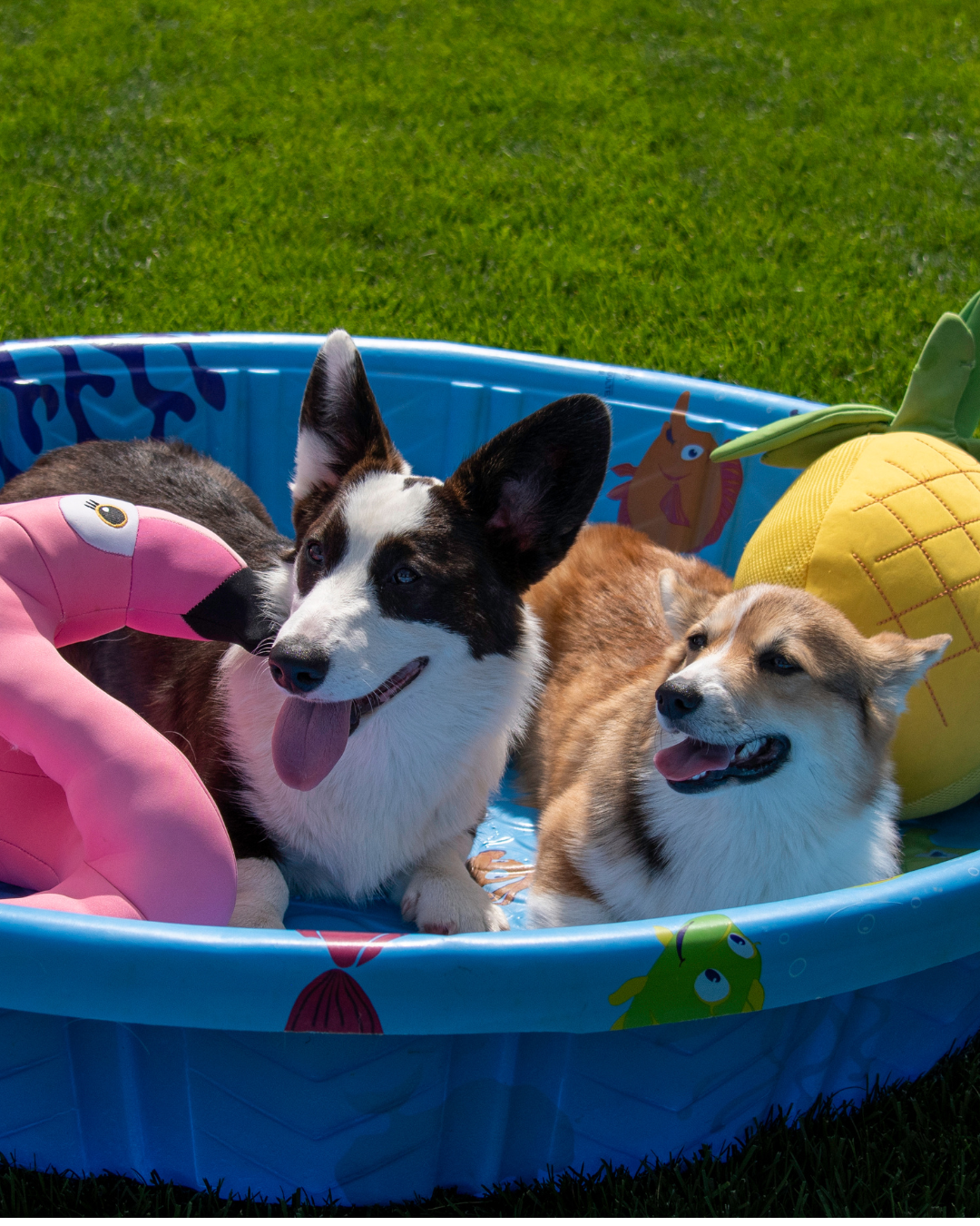 Our summer trips to the beach